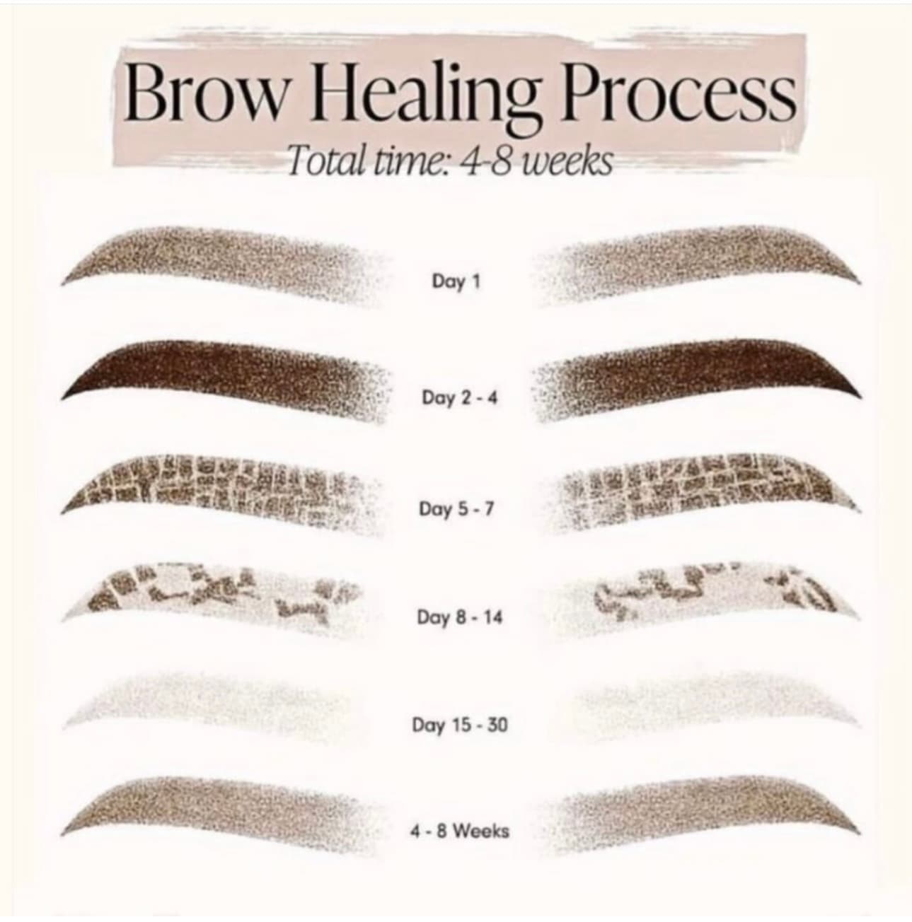 Oporavak obrva — tjedni napredak